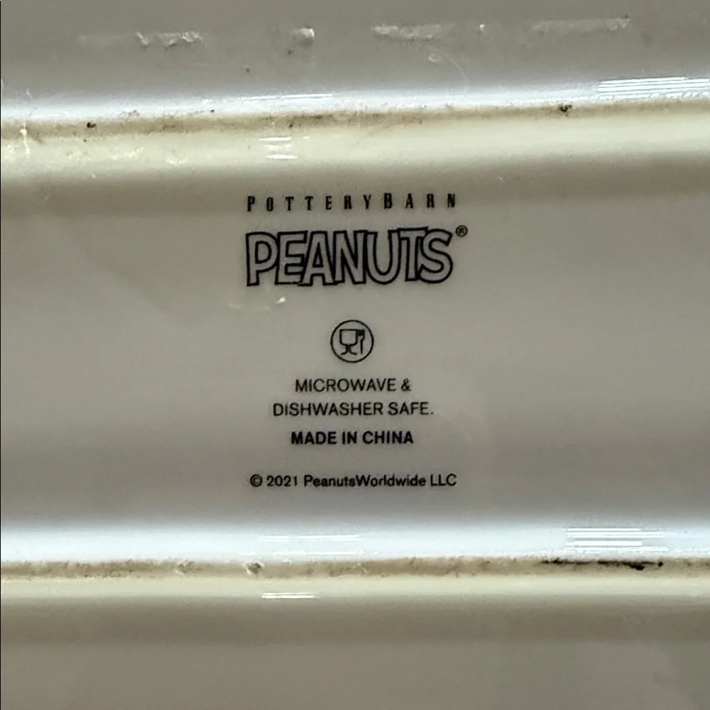 Pottery Barn Peanuts Christmas Comic Strip Rectangular Tray - Black and White